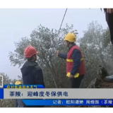 【株洲晚间报道】茶陵：迎峰度冬保供电