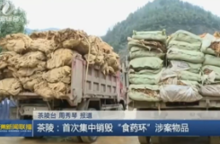 【株洲新闻联播】茶陵：警方首次集中销毁“食药环”涉案物品