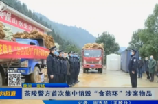 【株洲晚间报道】茶陵警方首次集中销毁“食药环”涉案物品
