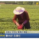 春光好 农事忙