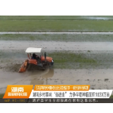 湖南乡村奏响“奋进曲” 力争早稻种植面积1830万亩