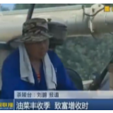 【株洲新闻联播】油菜丰收季 致富增收时