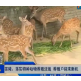 【株洲晚间报道】茶陵：落实特种动物养殖法规 养殖户迎来新机