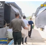 【株洲新闻联播】产业扶贫让咱们的日子越过越红火