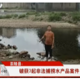 【株洲公共频道24小时】茶陵县：破获3起非法捕捞水产品案件