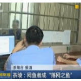 【株洲新闻联播】茶陵：网鱼者成“落网之鱼”
