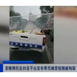 【株洲晚间报道】茶陵网民在抖音平台发布辱骂城管视频被拘留