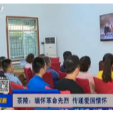 【株洲晚间报道】茶陵：缅怀革命先烈 传递爱国情怀