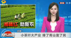 【湖南公共频道】茶陵：小茶叶大产业 绿了青山富了民