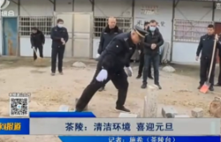 【株洲晚间报道】茶陵：清洁环境 喜迎元旦