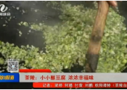 【株洲晚间报道】茶陵：小小酿豆腐 浓浓幸福味