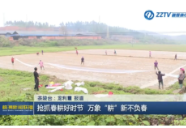  [株洲新闻联播]抢抓春耕好时节 万象“耕”新不负春