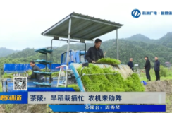 【株洲晚间报道】茶陵：早稻栽插忙 农机来助阵