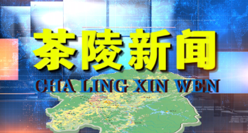 茶陵新闻20231113期