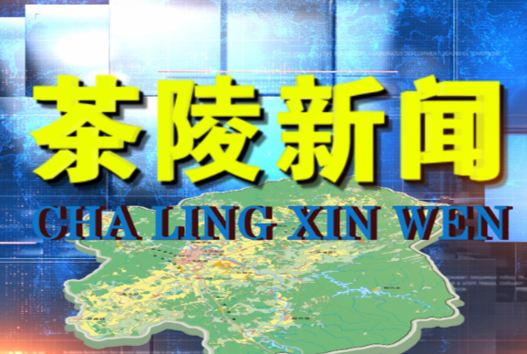 茶陵新闻20230410期