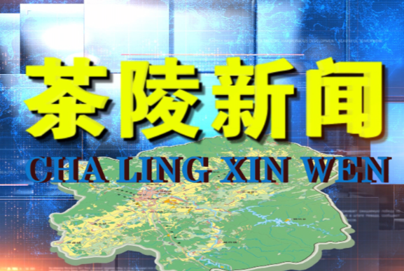 茶陵新闻20230412期