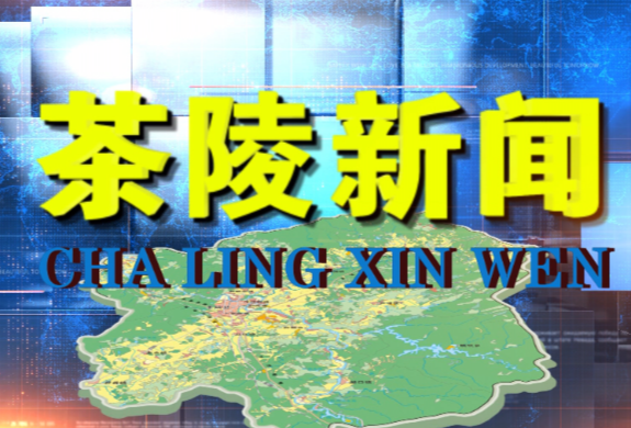 茶陵新闻20230413期