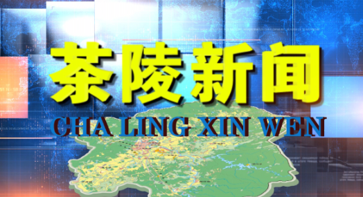 茶陵新闻20230407期