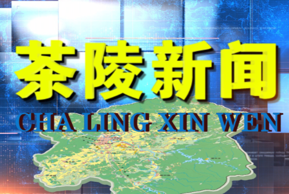 茶陵新闻20230727期