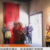 视频丨2020中国红博会 升温茶陵红色旅游
