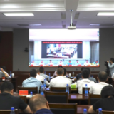 2023年株洲市交通问题顽瘴痼疾系统整治推进视频会议召开