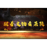 【跟着文物看茶陵】第一期《寻根——晓塘》