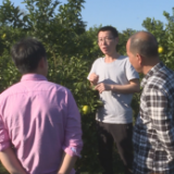 【茶陵好人】周建军：探路特色种植 护航扶贫产业