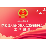 茶陵县人民代表大会常务委员会工作报告（全文）