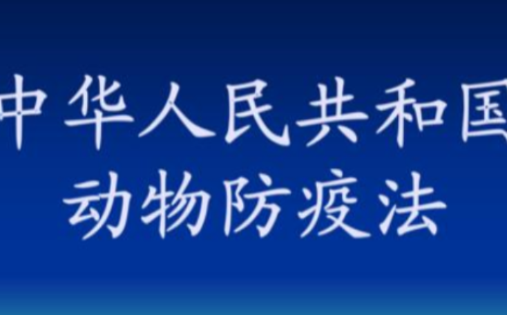 中华人民共和国动物防疫法 | 第十一章 法律责任