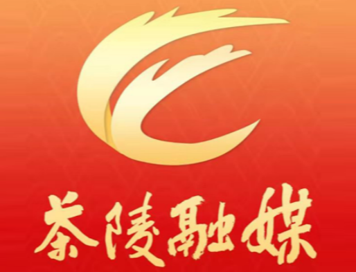 学党史 谈感悟 | 蔡新阳：萃取党史力量 拉满“青春之弓”