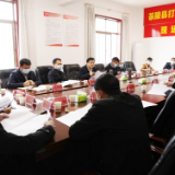 2022年茶陵县空间规划委员会第七次专题会议召开