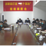 茶陵县加快推进重大项目建设工作