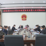 2022年茶陵县空间规划委员会第八次专题会议召开