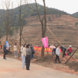 【文明实践在茶陵】广大干群开展全民义务植树活动