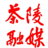 【文明实践在茶陵】网络文明传播工作会议召开