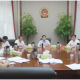 杨红兵主持召开2023年专项债项目储备调度会议