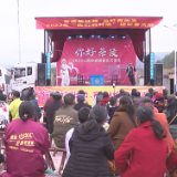 【幸福茶陵欢乐年】文艺下乡迎新春 精彩纷呈年味浓