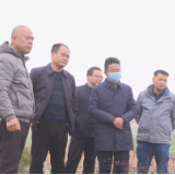 刘晓伟带队深入虎踞镇调研中药种植产业发展