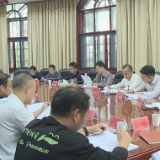 茶陵县召开县域经济高质量发展工作推进会