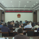 茶陵县全力推进乡村振兴工作落地见效