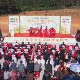 茶陵石冲脐橙采摘节正式开幕