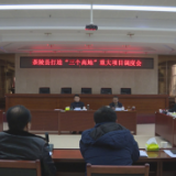 茶陵县调度“三个高地”重大项目建设