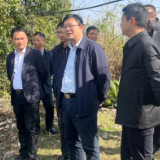 杨红兵带队到汉背办事处督导工作