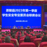 茶陵：全面加强学生安全工作