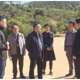 株洲市人大常委会副主任余群明来茶调研