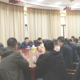 茶陵县委常委班子巡视整改专题民主生活会征求意见座谈会召开