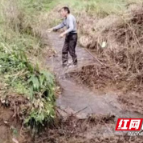 茶陵县湖口镇：村民代表显担当 清理沟渠助春耕