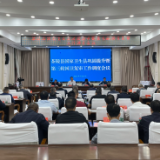 茶陵县召开国家卫生县巩固提升暨第三轮国卫复审工作调度会