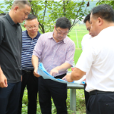 杨红兵带队到严塘镇督导工作