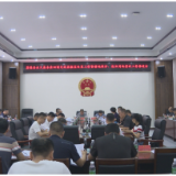 茶陵县调度永久基本农田划定成果核实处置工作暨耕地保护、违法用地整改工作